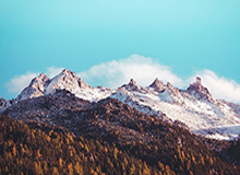 欧冠积分榜-【欧洲杯】维纳尔杜姆破僵 荷兰连丢2球3比2乌克兰